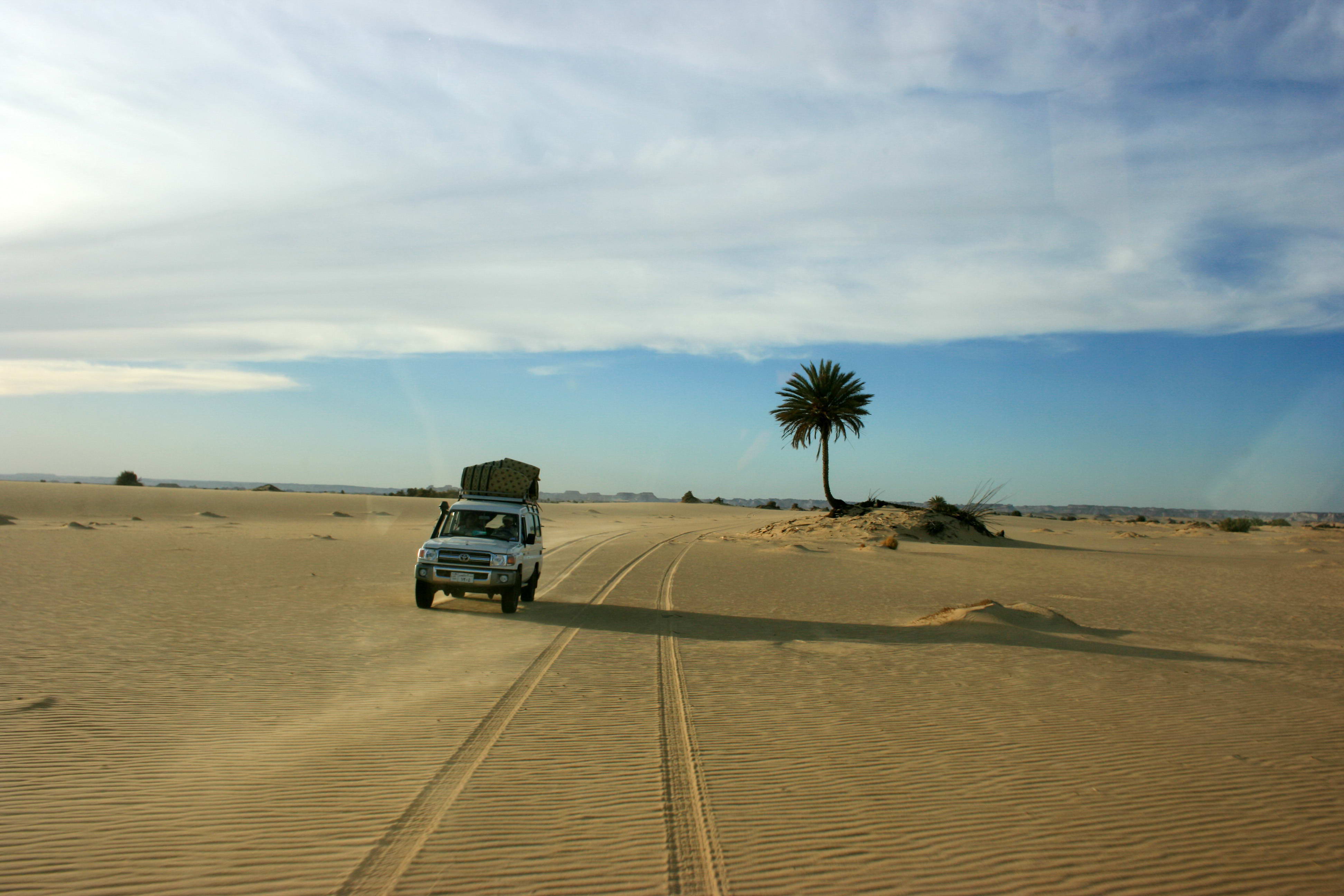 2009 год, март - Экспедиция «Оазисы и пустыни Египта»